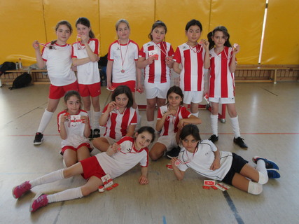 fussball